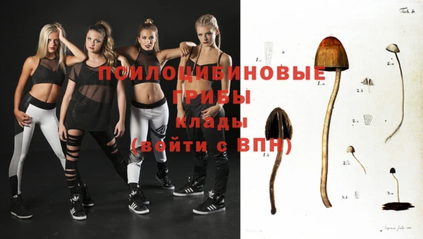 кокс Абаза
