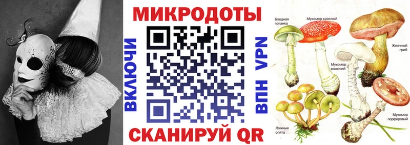 MEGA ССЫЛКА  даркнет сайт  Кингисепп  Псилоцибиновые грибы Magic Shrooms 